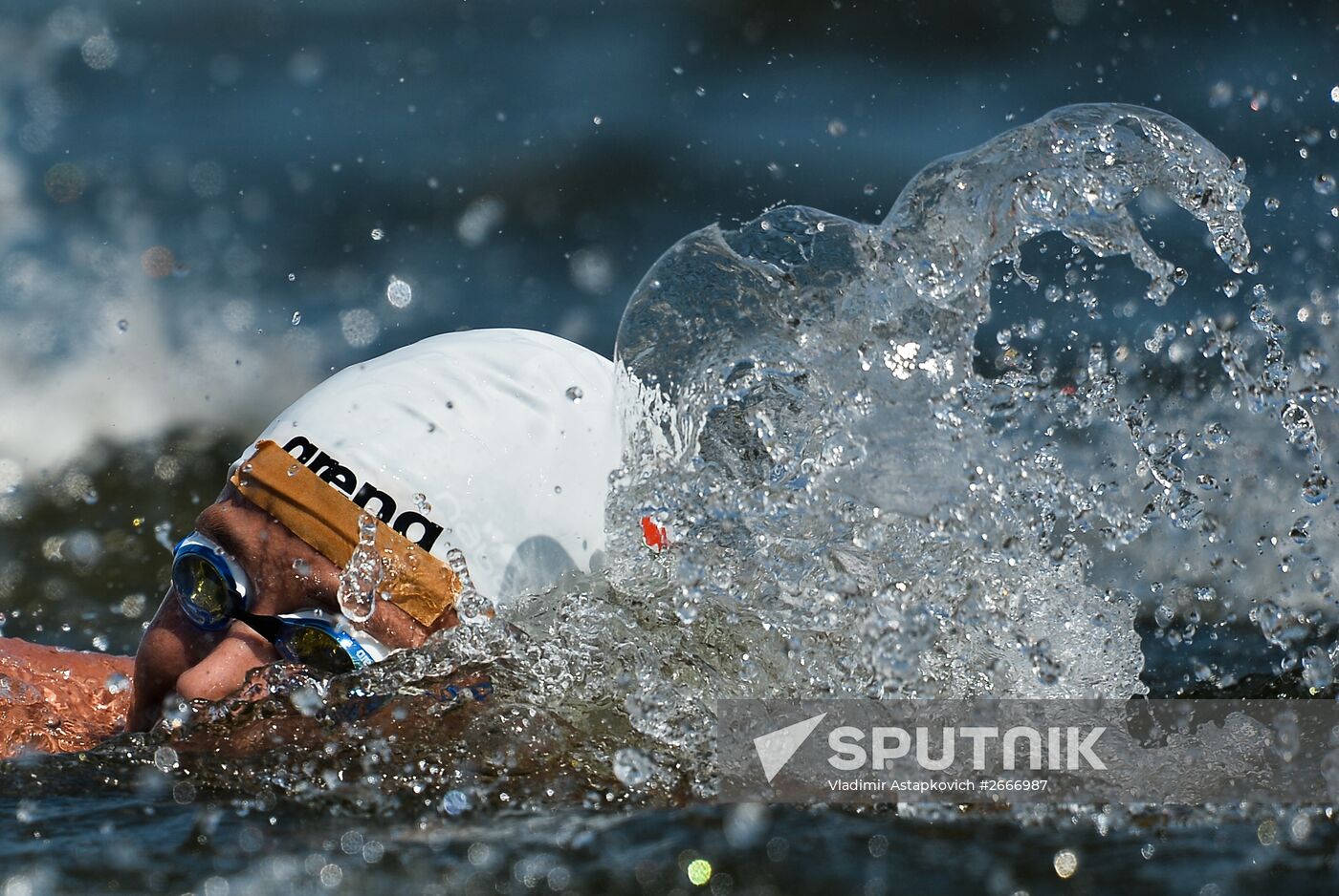 16th 2015 World Aquatics Championships. Open-water swimming. Women Ten kilometers