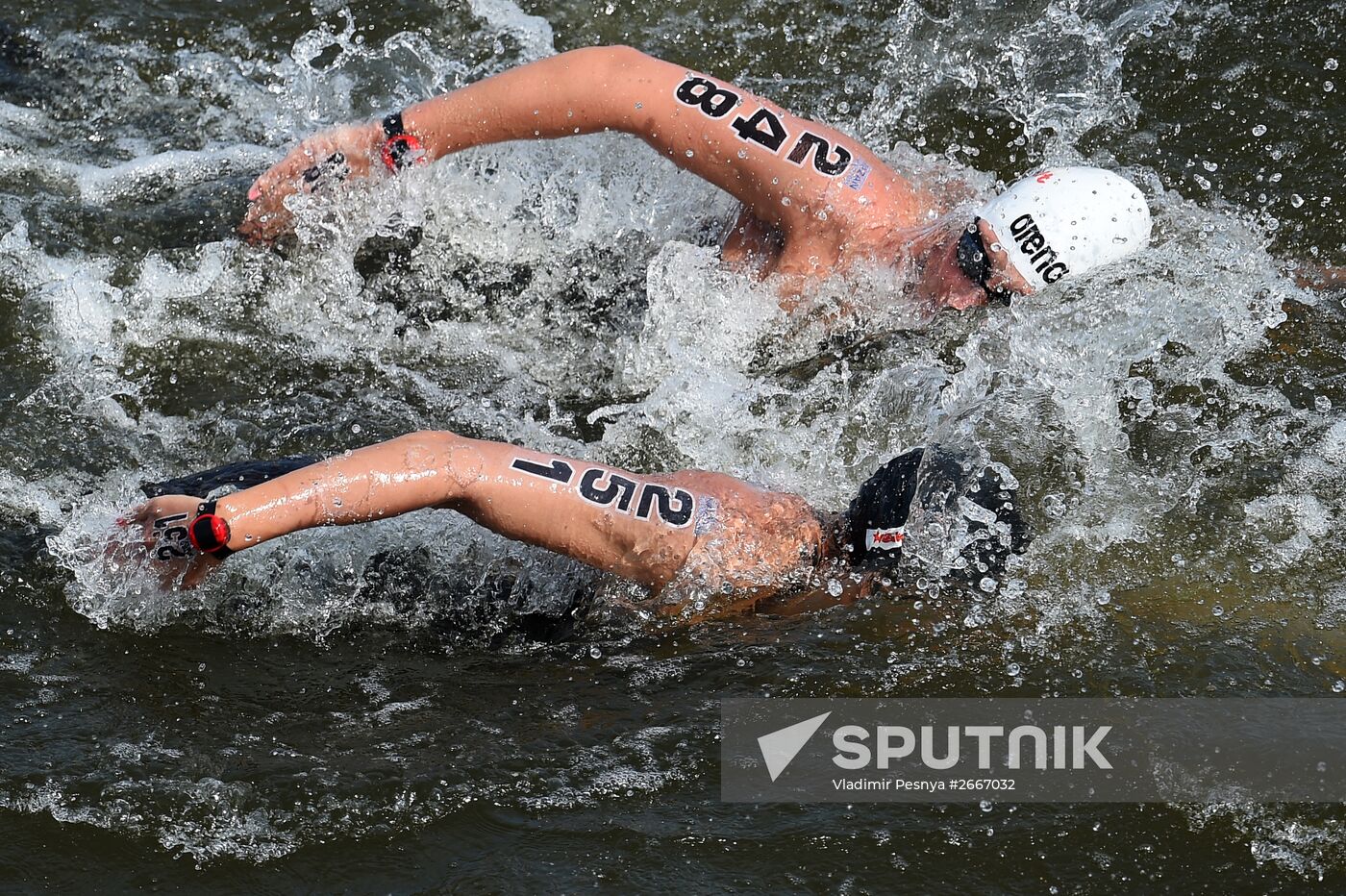 16th 2015 World Aquatics Championships. Open-water swimming. Women Ten kilometers