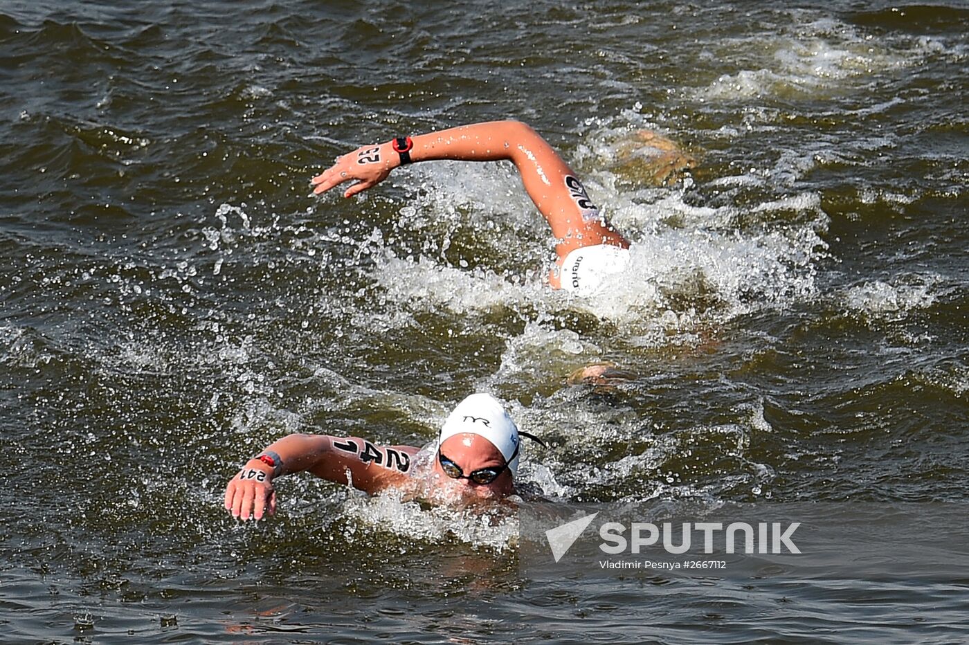 16th 2015 World Aquatics Championships. Open-water swimming. Women Ten kilometers