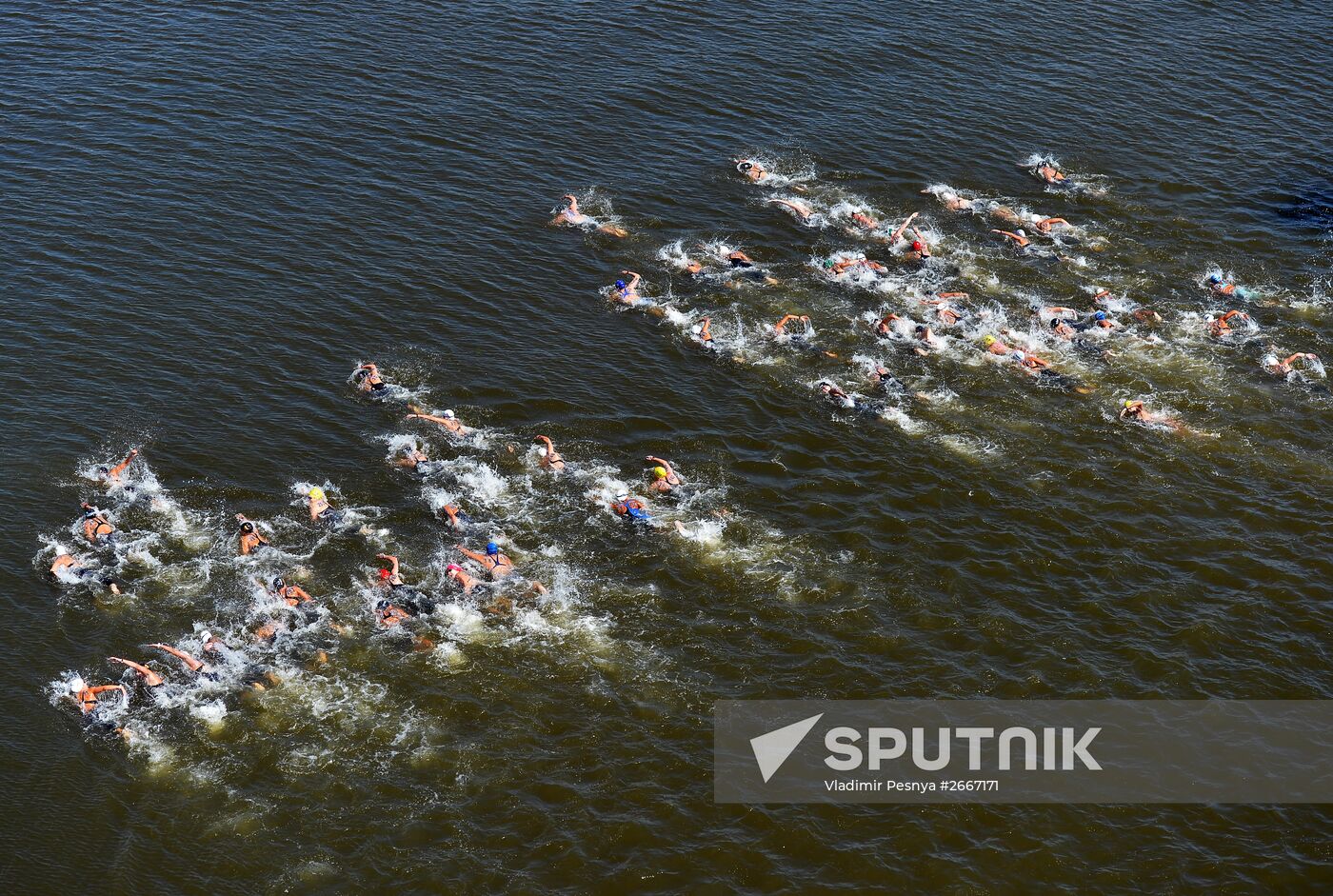 16th 2015 World Aquatics Championships. Open-water swimming. Women Ten kilometers