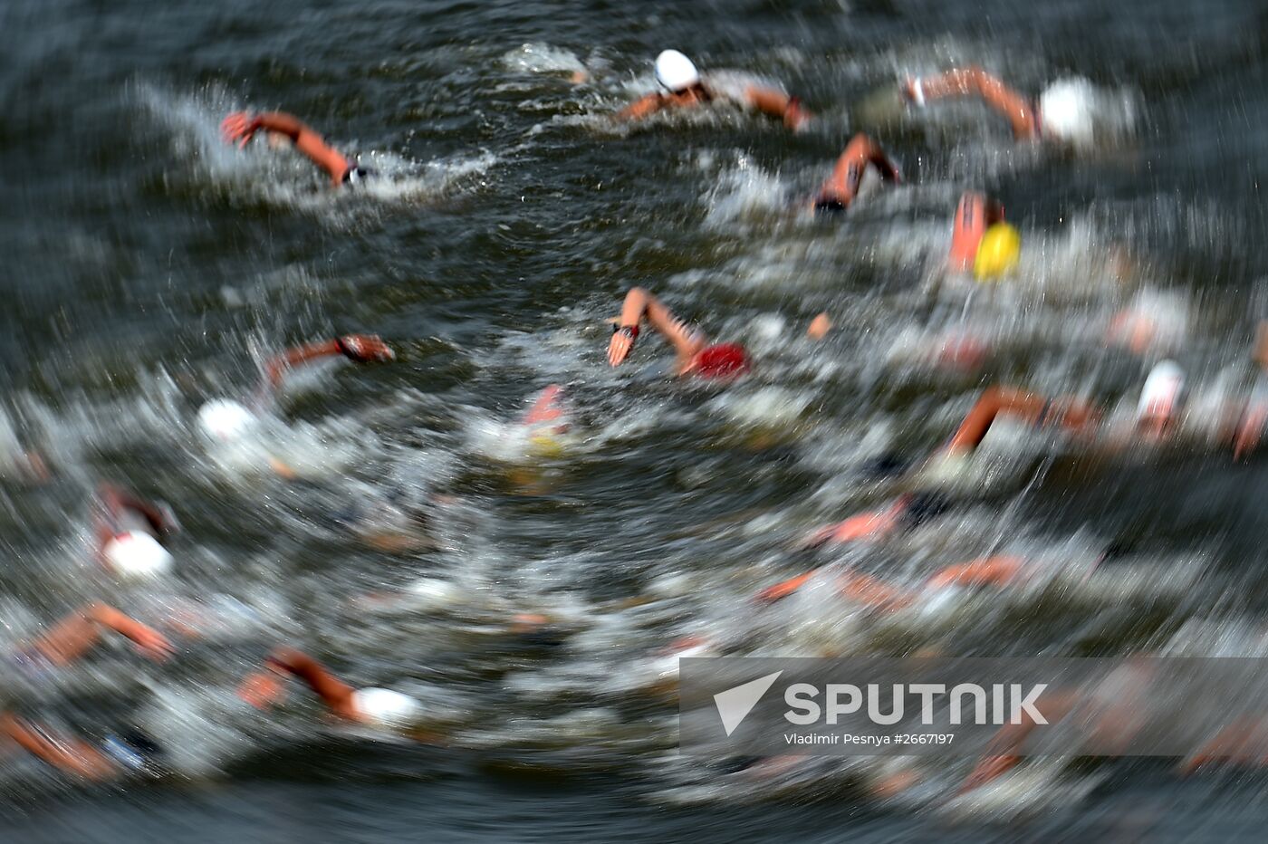 16th 2015 World Aquatics Championships. Open-water swimming. Women Ten kilometers