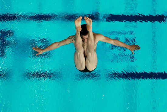 2015 FINA World Championships. Diving. Teams. Final