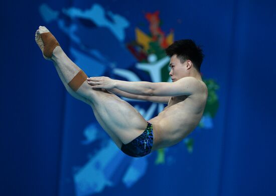 2015 FINA World Championships. Diving. Teams. Final