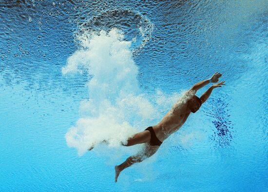 2015 FINA World Championships. Diving. Teams. Final