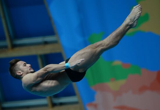 2015 FINA World Championships. Diving. Teams. Final