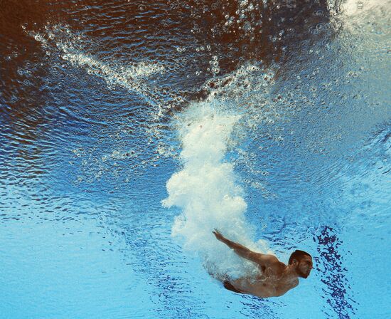 2015 FINA World Championships. Diving. Teams. Final