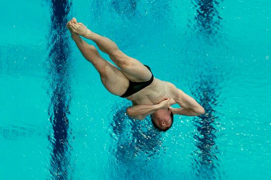 2015 FINA World Championships. Diving. Teams. Final