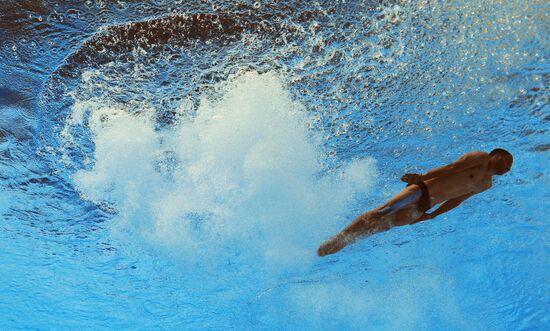 2015 FINA World Championships. Diving. Teams. Final