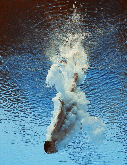 2015 FINA World Championships. Diving. Teams. Final