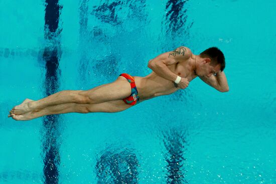 2015 FINA World Championships. Diving. Teams. Final