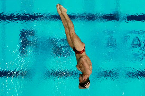 2015 FINA World Championships. Diving. Teams. Final