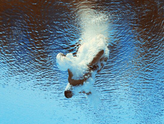 2015 FINA World Championships. Diving. Teams. Final
