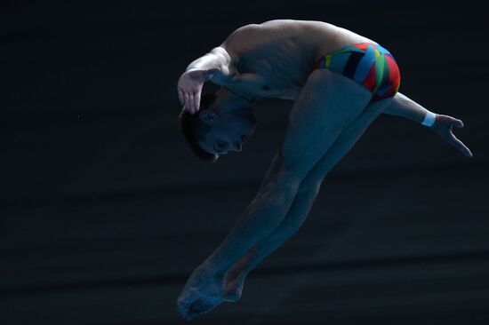 2015 FINA World Championships. Diving. Teams. Final