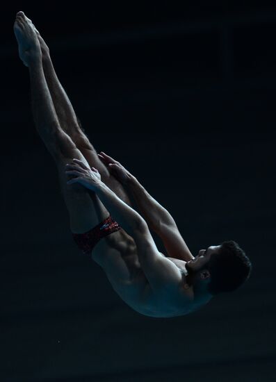 2015 FINA World Championships. Diving. Teams. Final