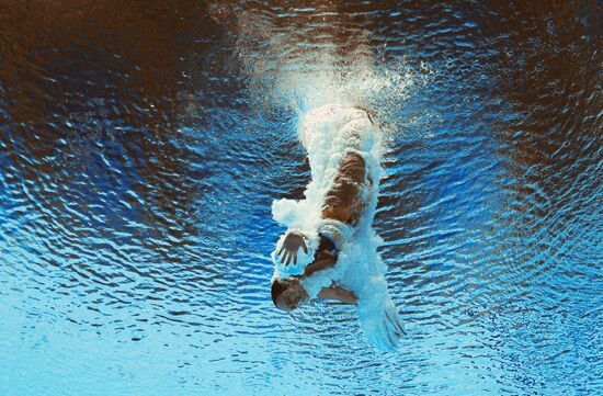 2015 FINA World Championships. Diving. Teams. Final