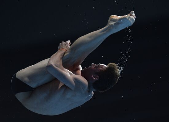 2015 FINA World Championships. Diving. Teams. Final