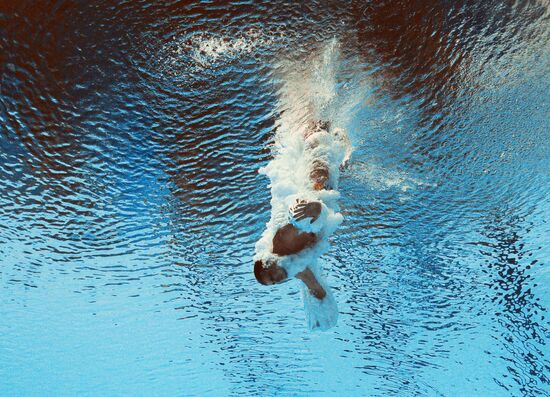 2015 FINA World Championships. Diving. Teams. Final
