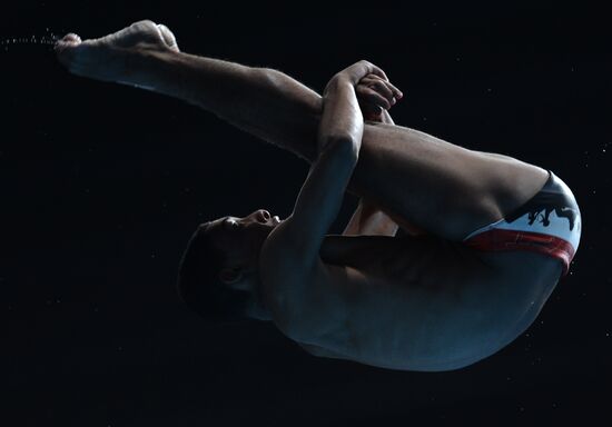 2015 FINA World Championships. Diving. Teams. Final