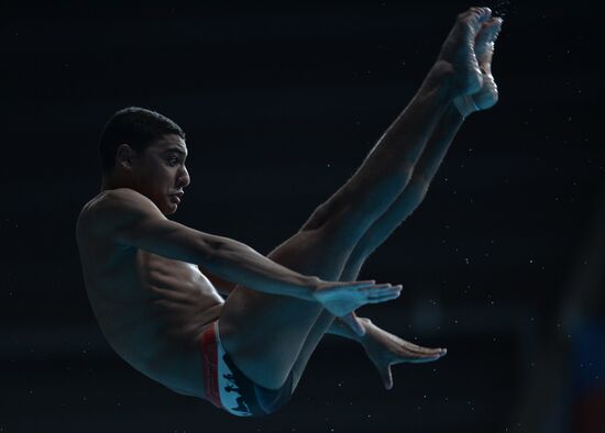 2015 FINA World Championships. Diving. Teams. Final
