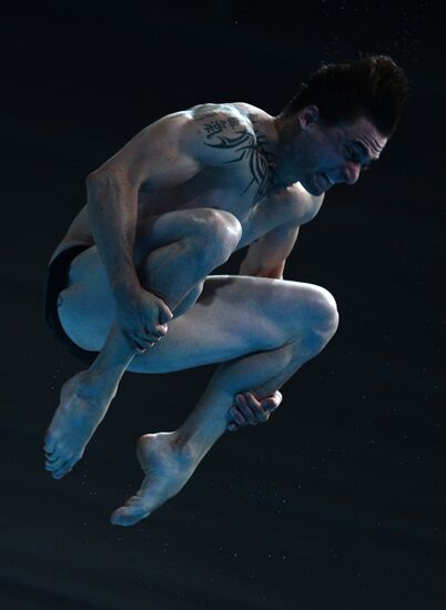 2015 FINA World Championships. Diving. Teams. Final