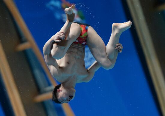 2015 FINA World Championships. Diving. Teams. Final