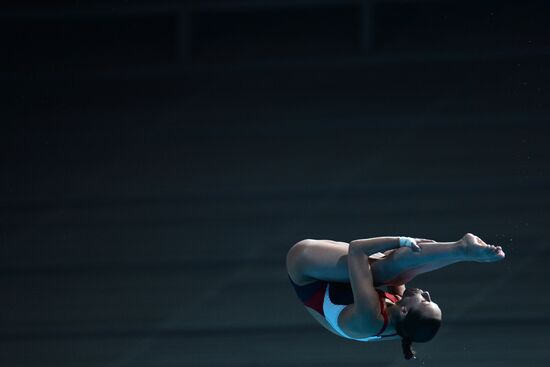 2015 FINA World Championships. Diving. Teams. Final