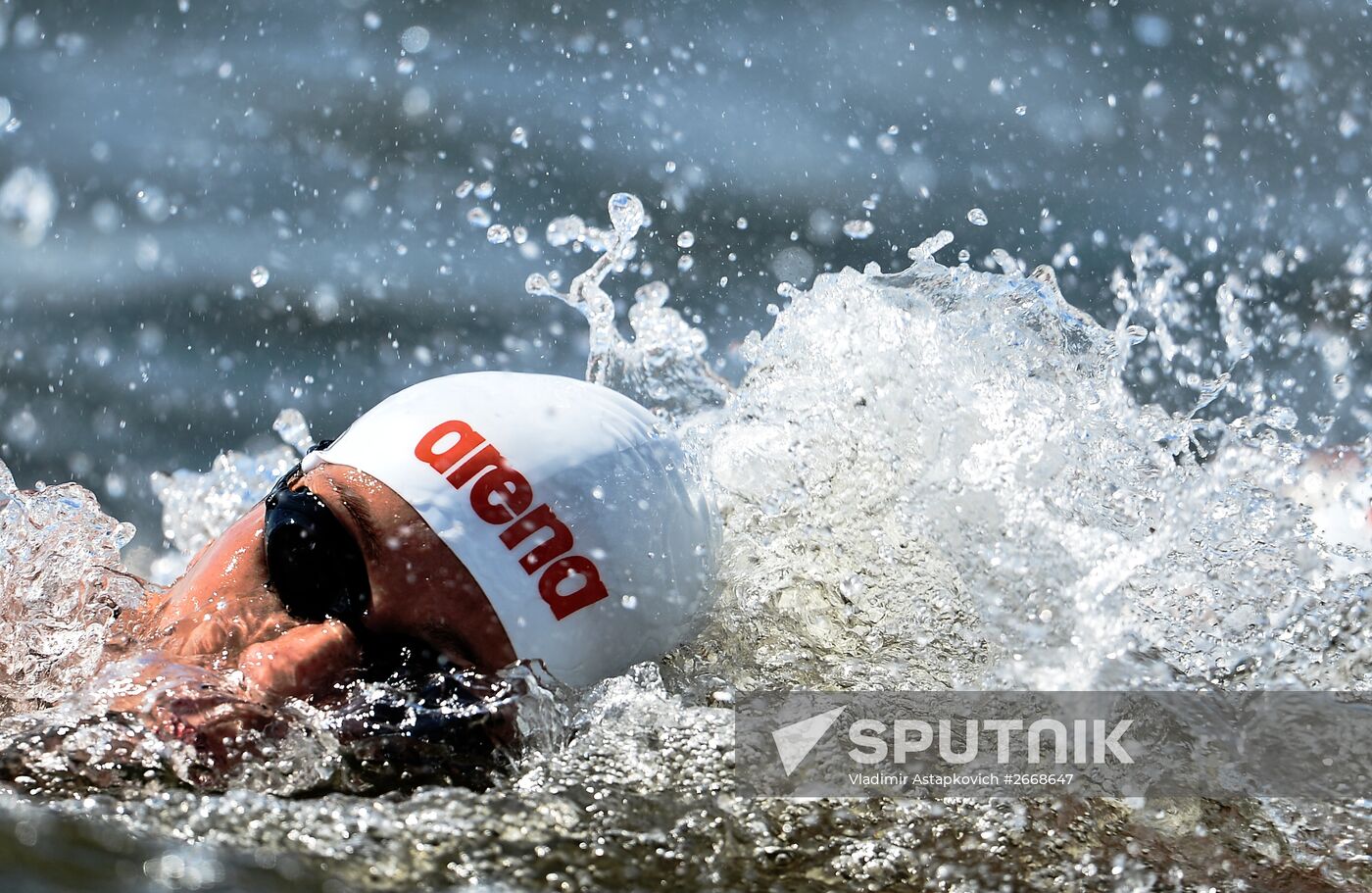 2015 World Aquatics Championships. Open water swimming. Teams