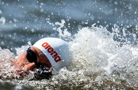 2015 World Aquatics Championships. Open water swimming. Teams