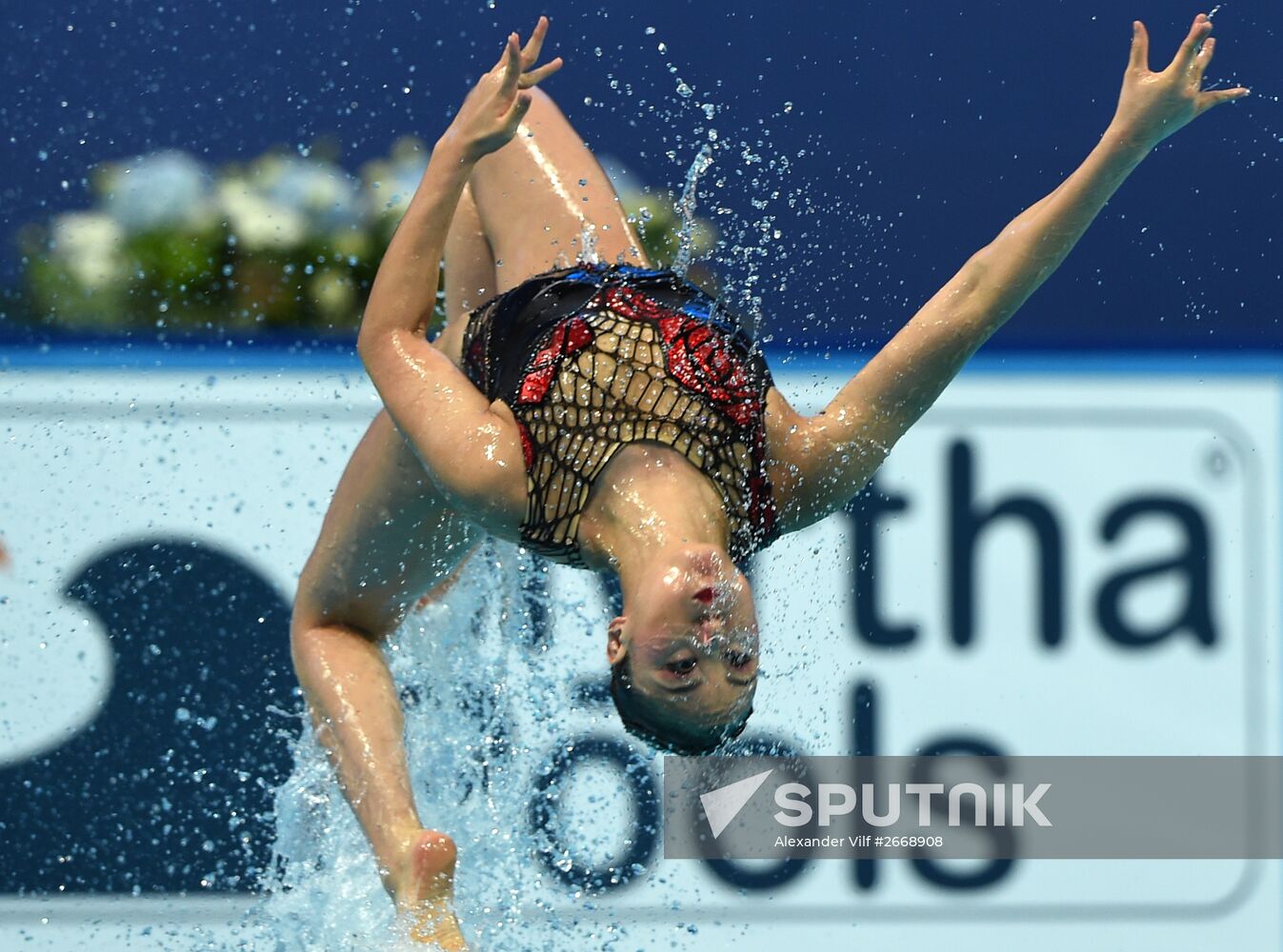 2015 FINA World Championships. Synchronized swimming. Women's duet final