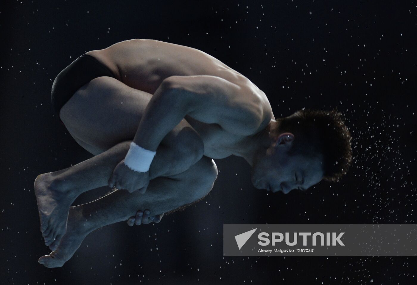 16th FINA World Championships. Diving. 10m Platform Men Preliminary