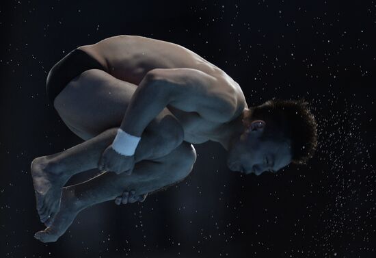 16th FINA World Championships. Diving. 10m Platform Men Preliminary