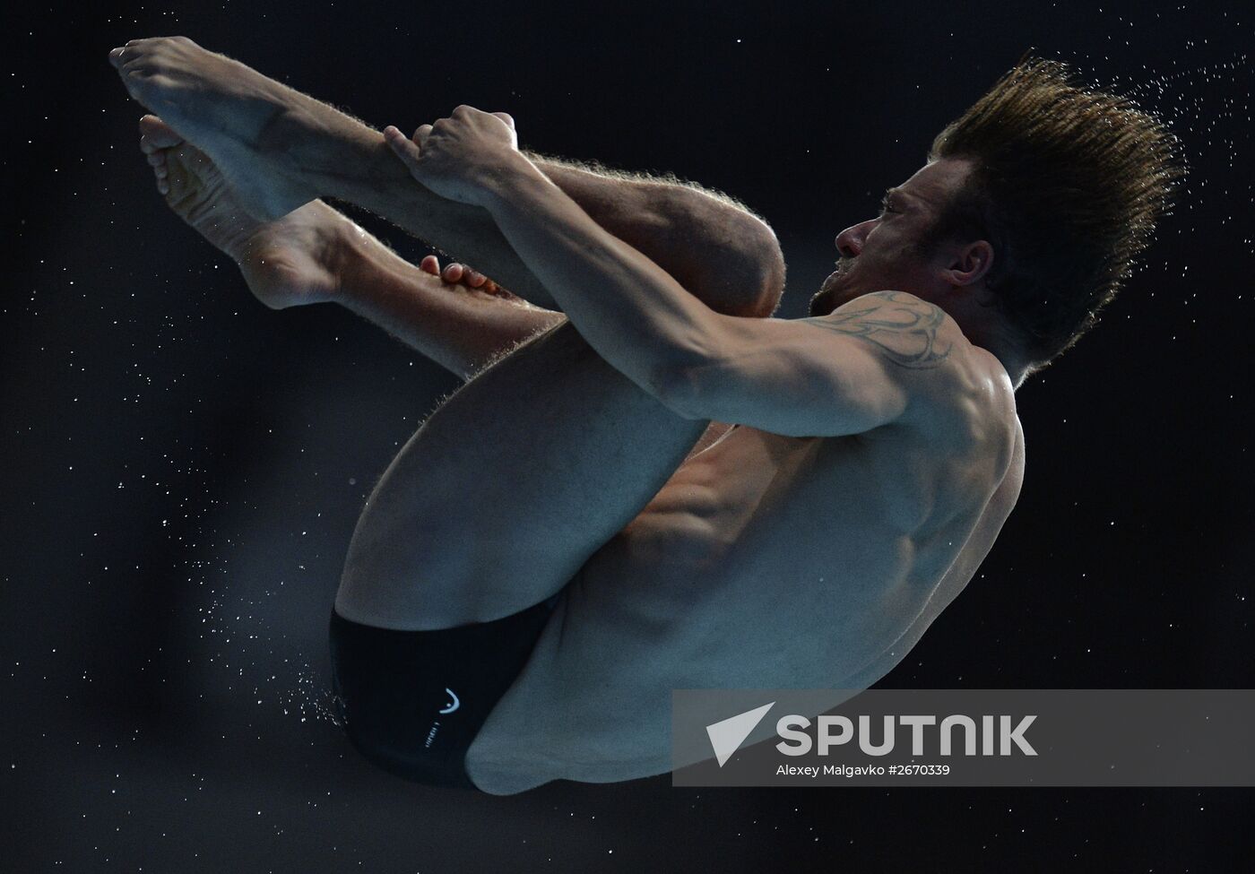 16th FINA World Championships. Diving. 10m Platform Men Preliminary