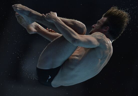 16th FINA World Championships. Diving. 10m Platform Men Preliminary