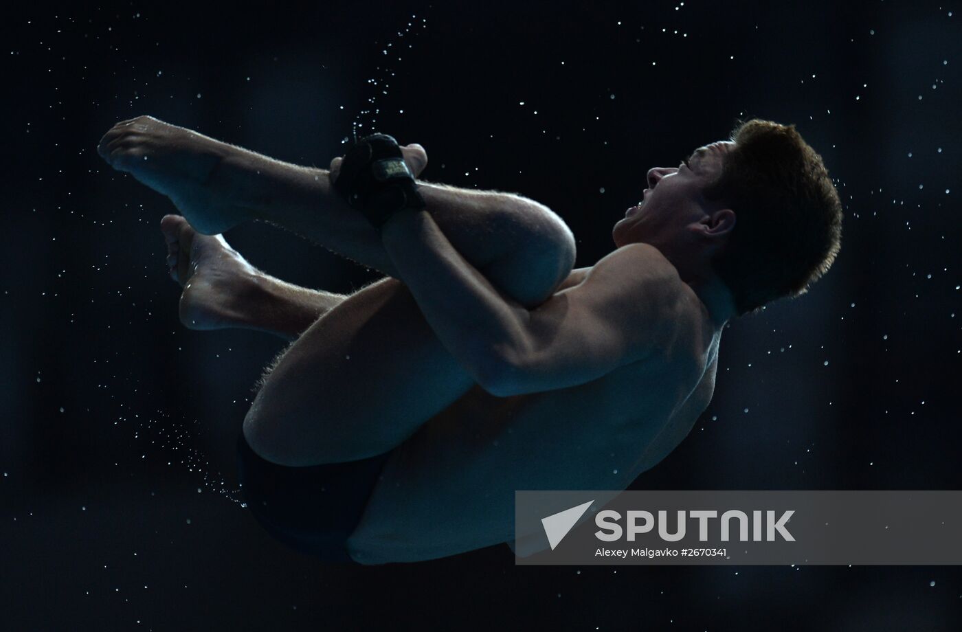 16th FINA World Championships. Diving. 10m Platform Men Preliminary