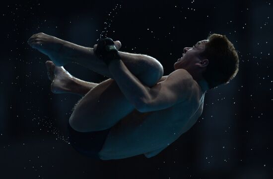16th FINA World Championships. Diving. 10m Platform Men Preliminary