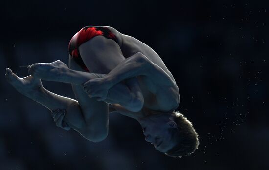 16th FINA World Championships. Diving. 10m Platform Men Preliminary