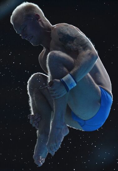 16th FINA World Championships. Diving. 10m Platform Men Preliminary