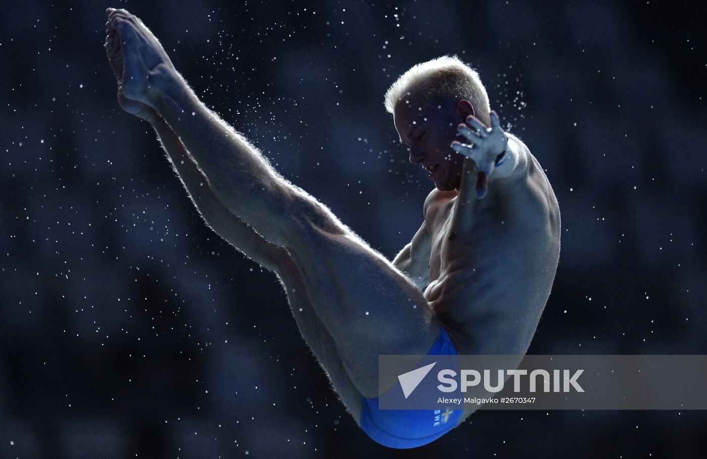 16th FINA World Championships. Diving. 10m Platform Men Preliminary