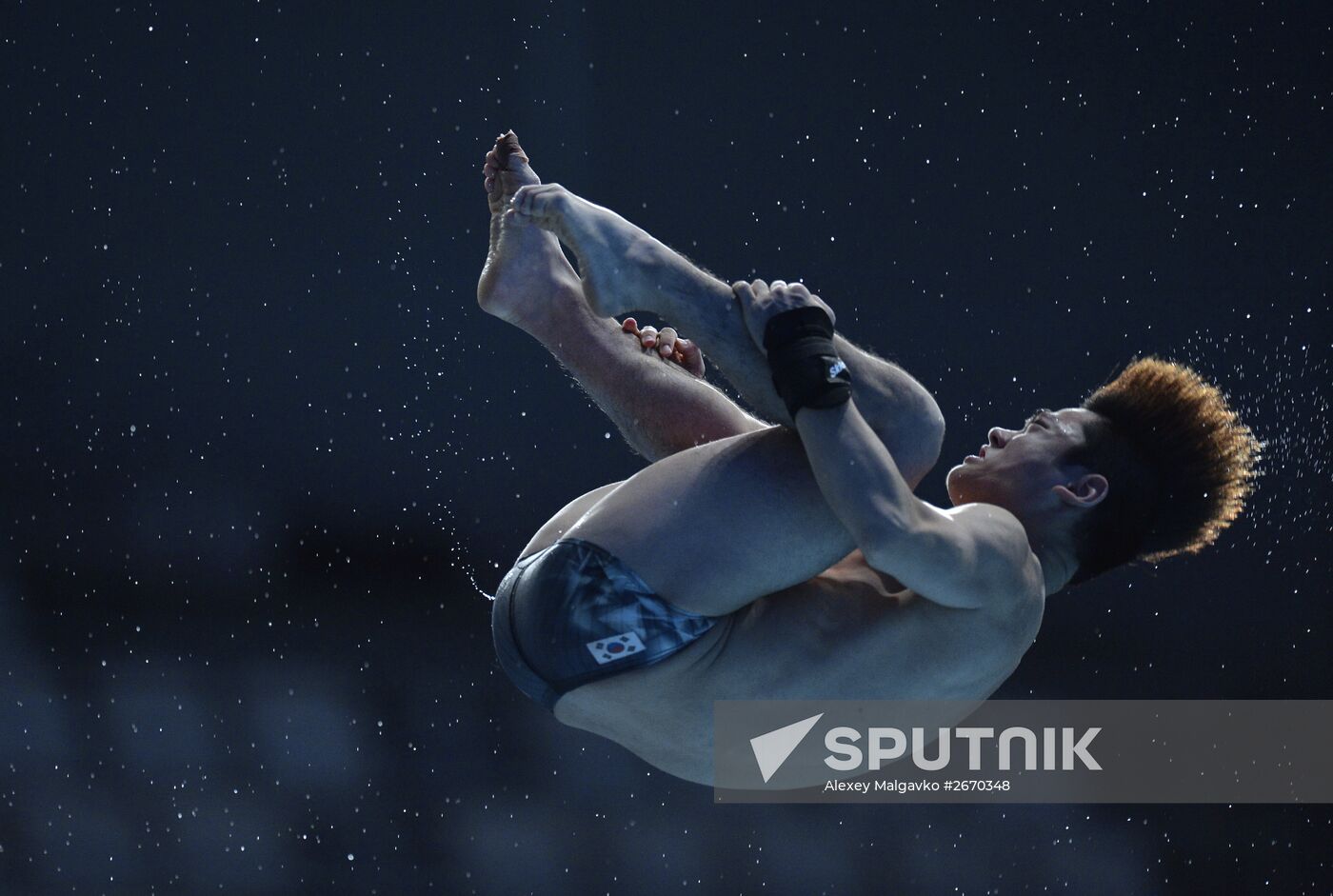 16th FINA World Championships. Diving. 10m Platform Men Preliminary