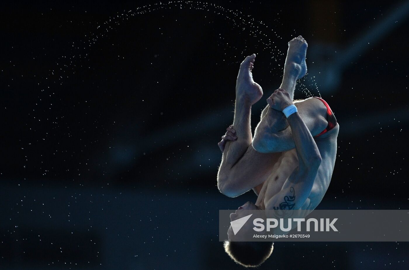 16th FINA World Championships. Diving. 10m Platform Men Preliminary