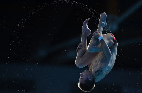 16th FINA World Championships. Diving. 10m Platform Men Preliminary