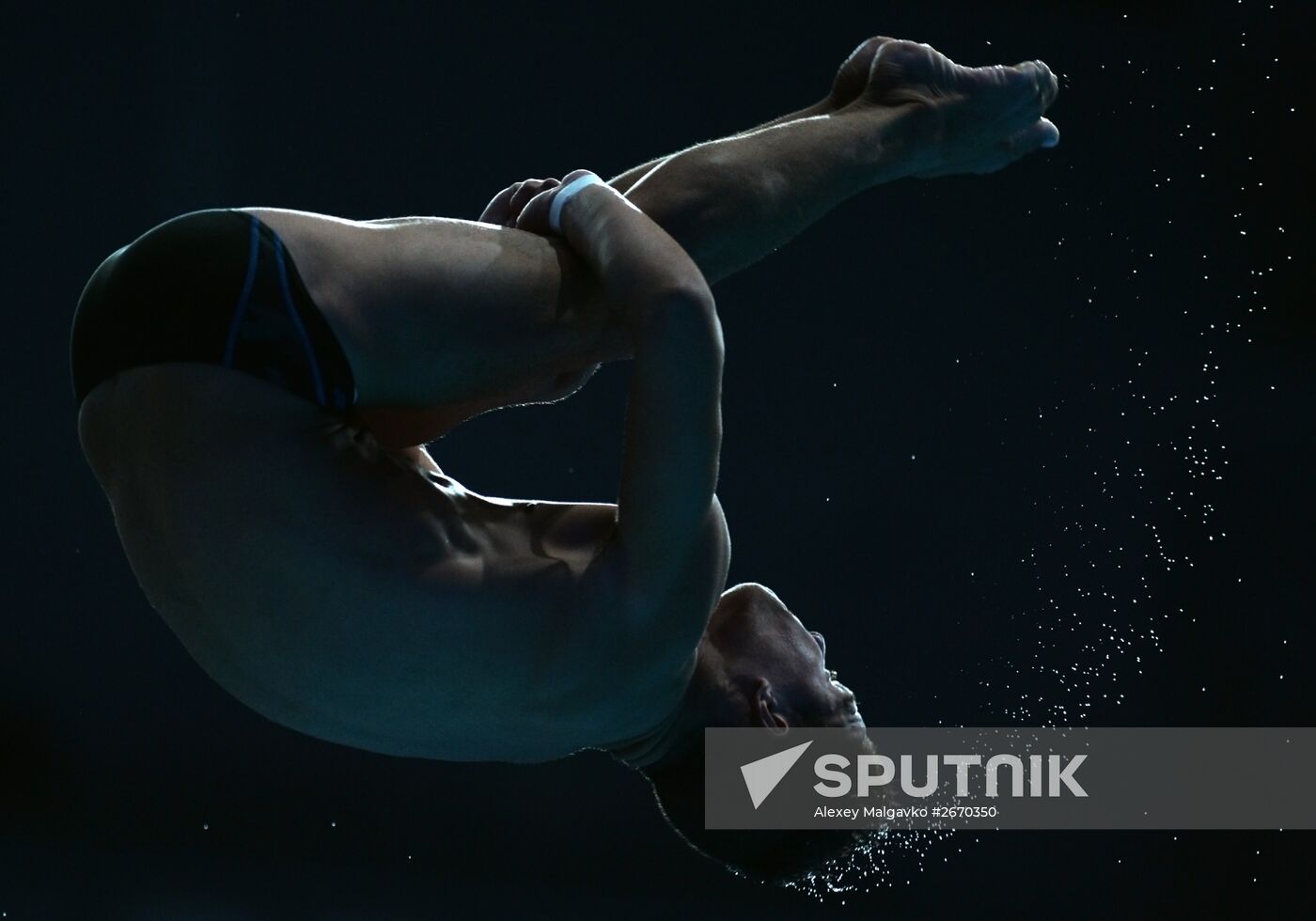 16th FINA World Championships. Diving. 10m Platform Men Preliminary