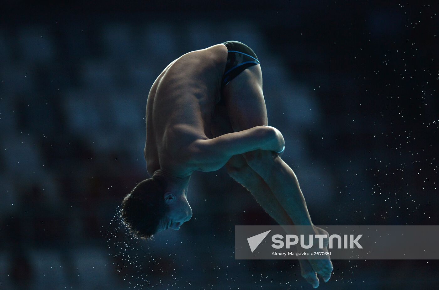 16th FINA World Championships. Diving. 10m Platform Men Preliminary