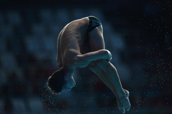 16th FINA World Championships. Diving. 10m Platform Men Preliminary