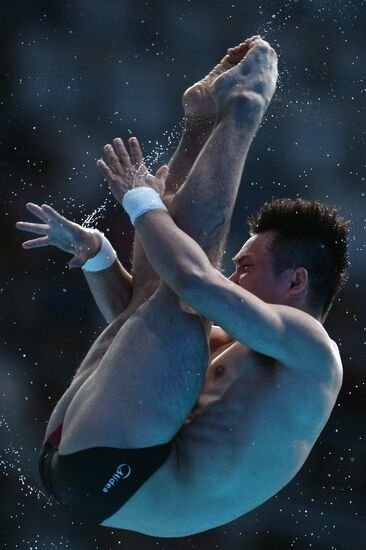 16th FINA World Championships. Diving. 10m Platform Men Preliminary