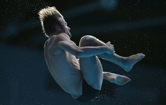 16th FINA World Championships. Diving. 10m Platform Men Preliminary