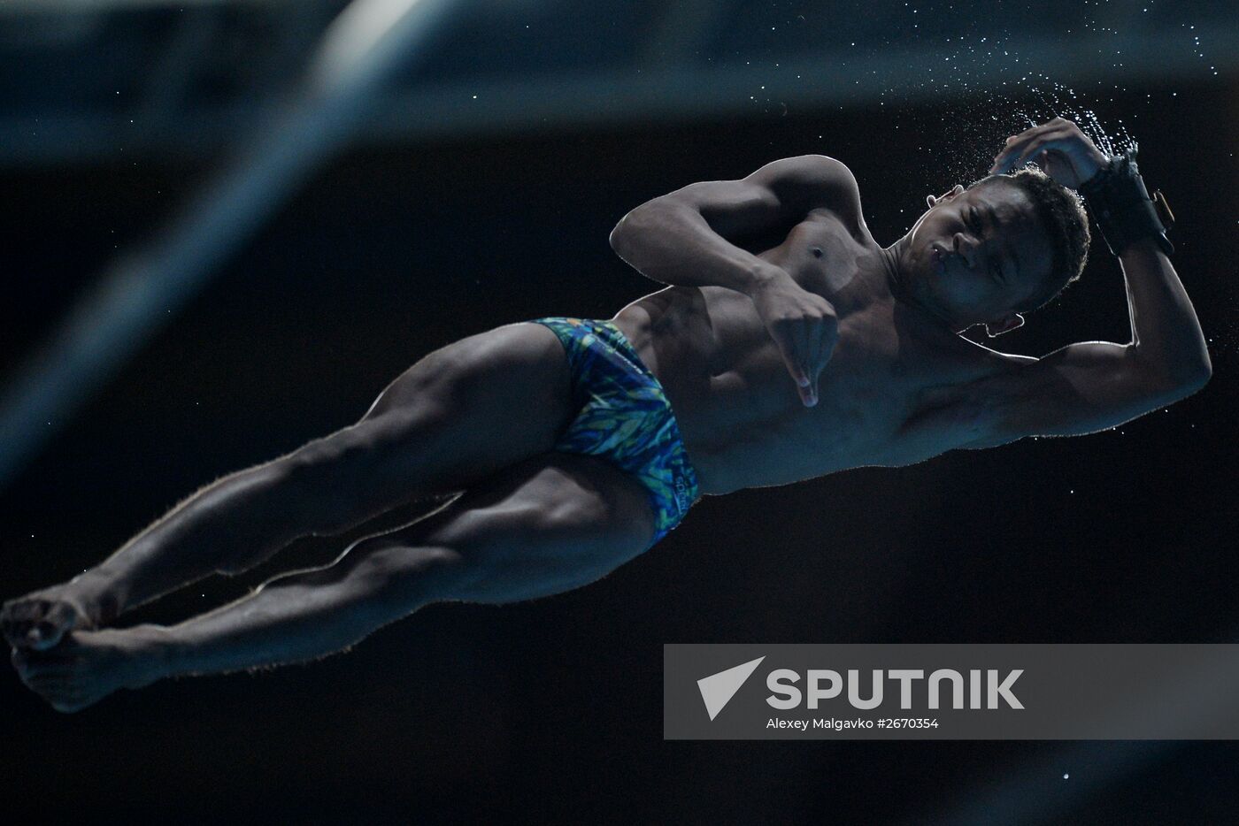 16th FINA World Championships. Diving. 10m Platform Men Preliminary