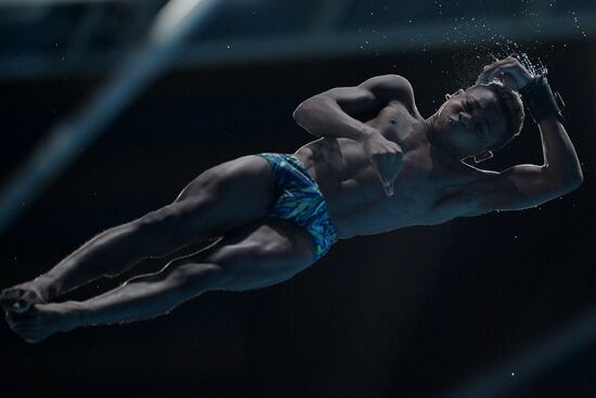 16th FINA World Championships. Diving. 10m Platform Men Preliminary