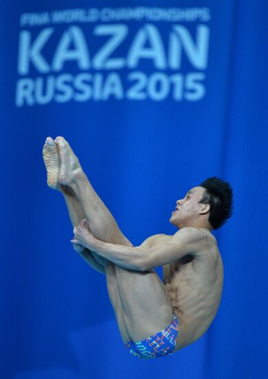 16th FINA World Championships. Diving. 10m Platform Men Preliminary