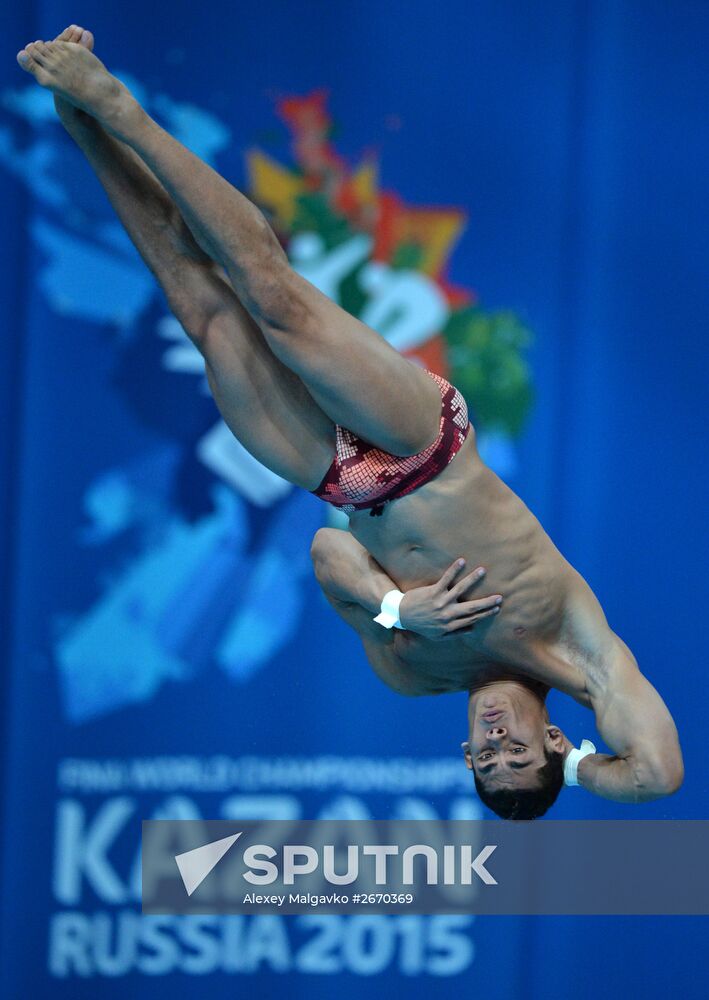 16th FINA World Championships. Diving. 10m Platform Men Preliminary